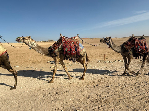 Ottavio Viaggi-Borgo a Mozzano必去景点