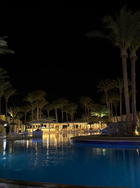 棕榈滩度假村-仅供家庭及伴侣入住-官方