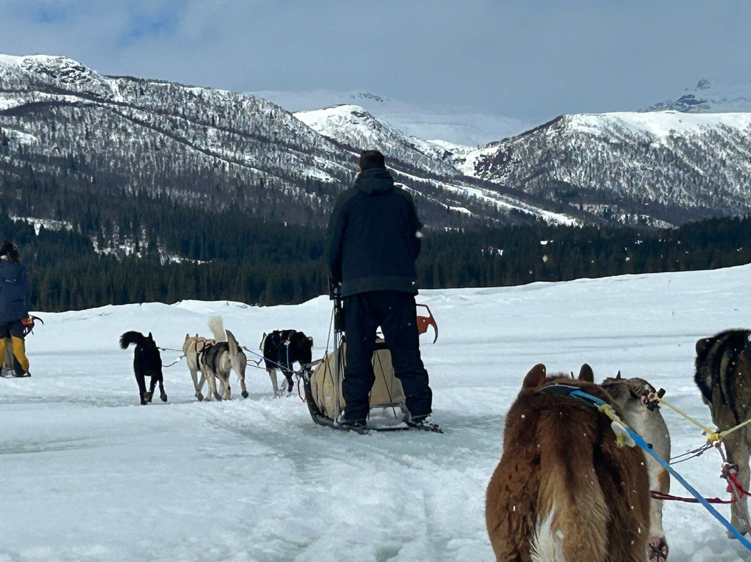 Beito Husky Tours Day Tours-Beito必去景点
