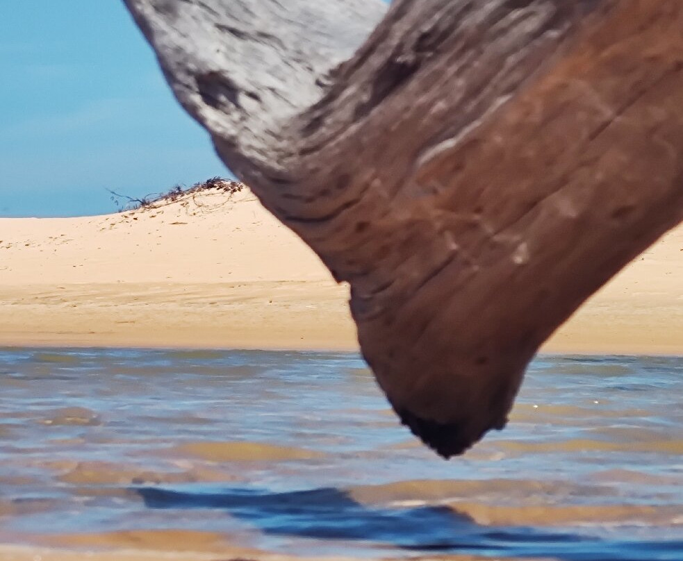 Foz do Rio São Francisco Fantástico Turismo-Piacabucu必去景点