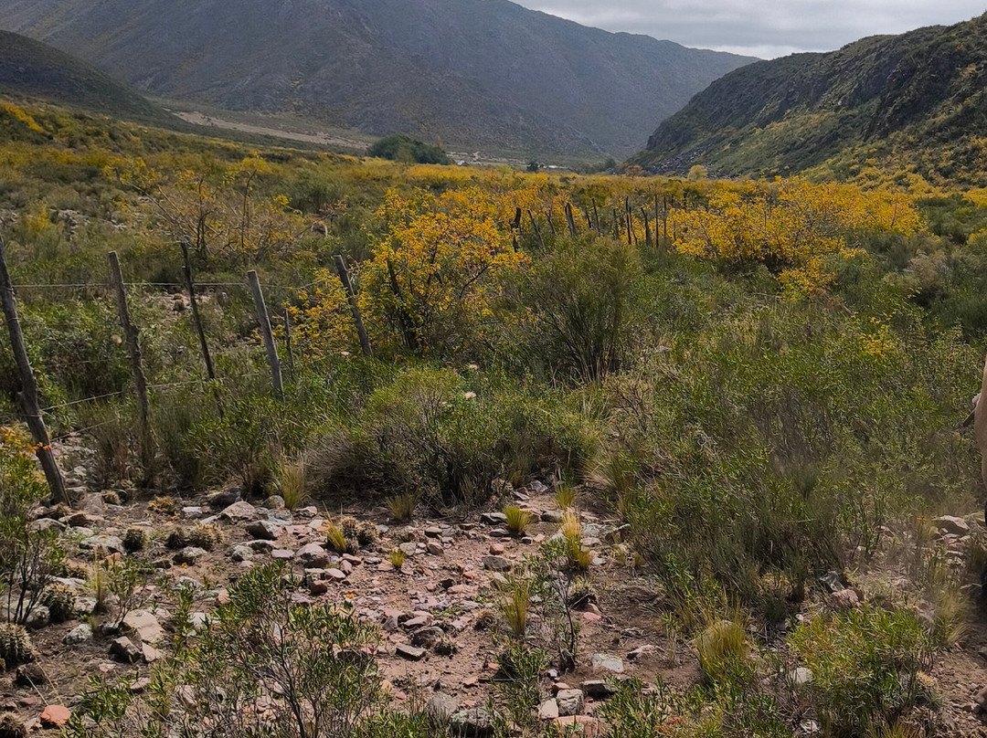 Cabalgatas Mendoza: Los Chacayes-门多萨必去景点