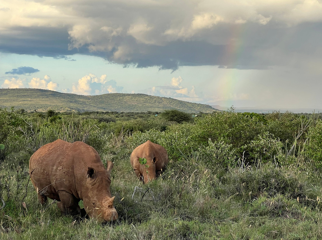 African Quest Safaris-蒙巴萨必去景点