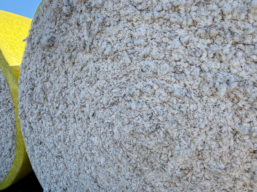 Goondiwindi Cotton-Goondiwindi必去景点