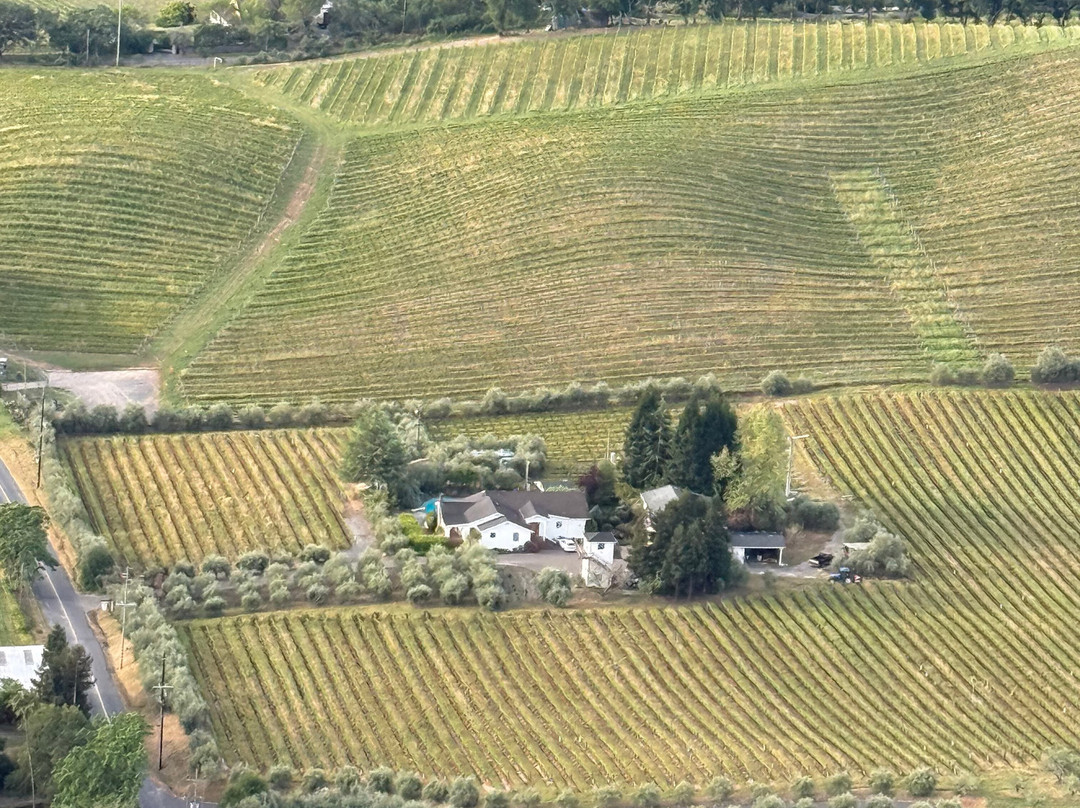 Wine Country Balloons-索诺玛必去景点