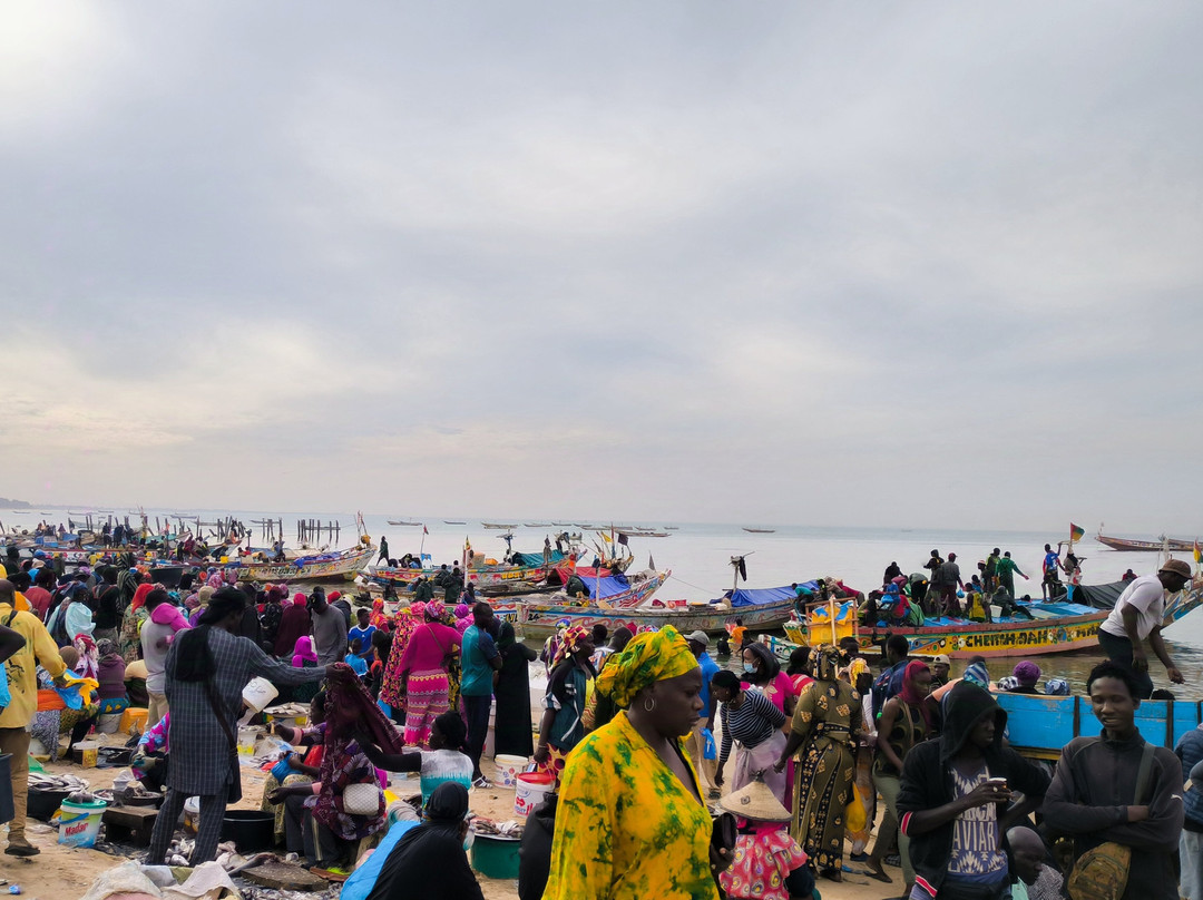 Senegal with Alex-达喀尔必去景点