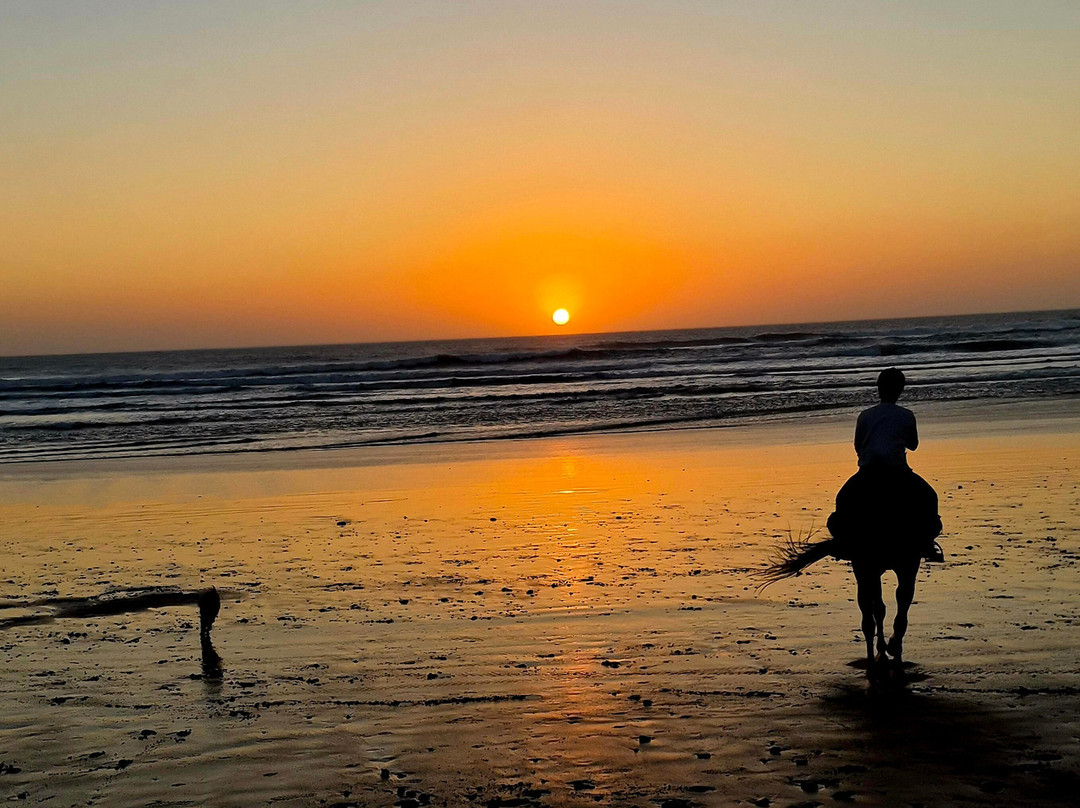 Mogador Horse-Diabat必去景点