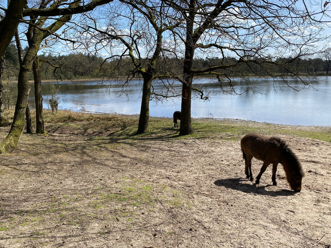 Hotel Restaurant de Keurvorst主图