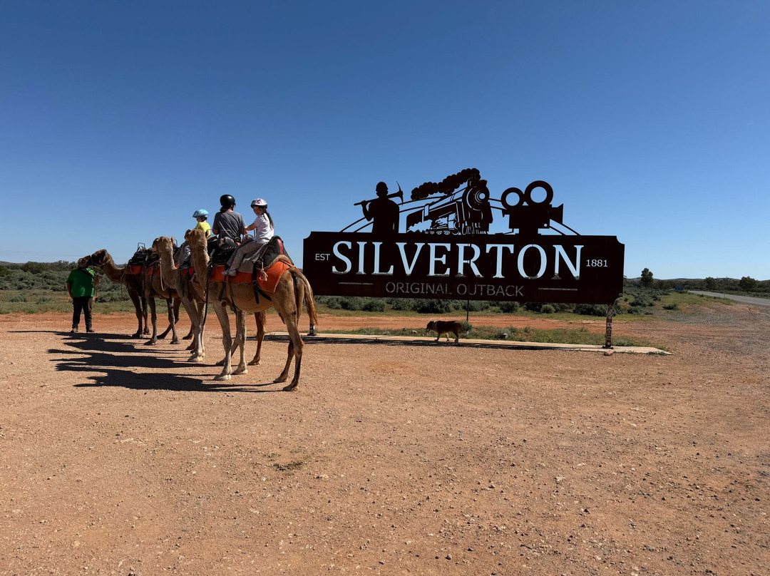 Silverton Outback Camels-Silverton必去景点
