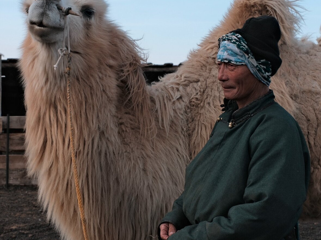 Sunpath Mongolia-乌兰巴托必去景点