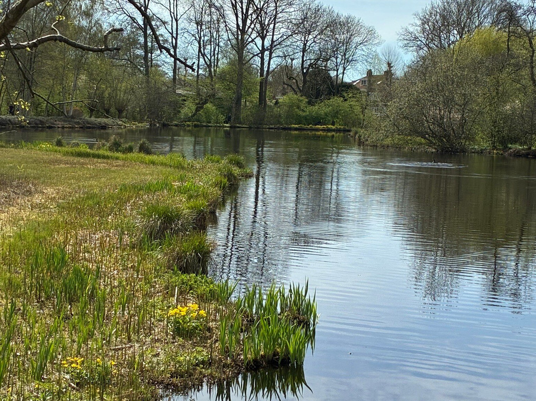 De Braak-阿姆斯特尔芬必去景点