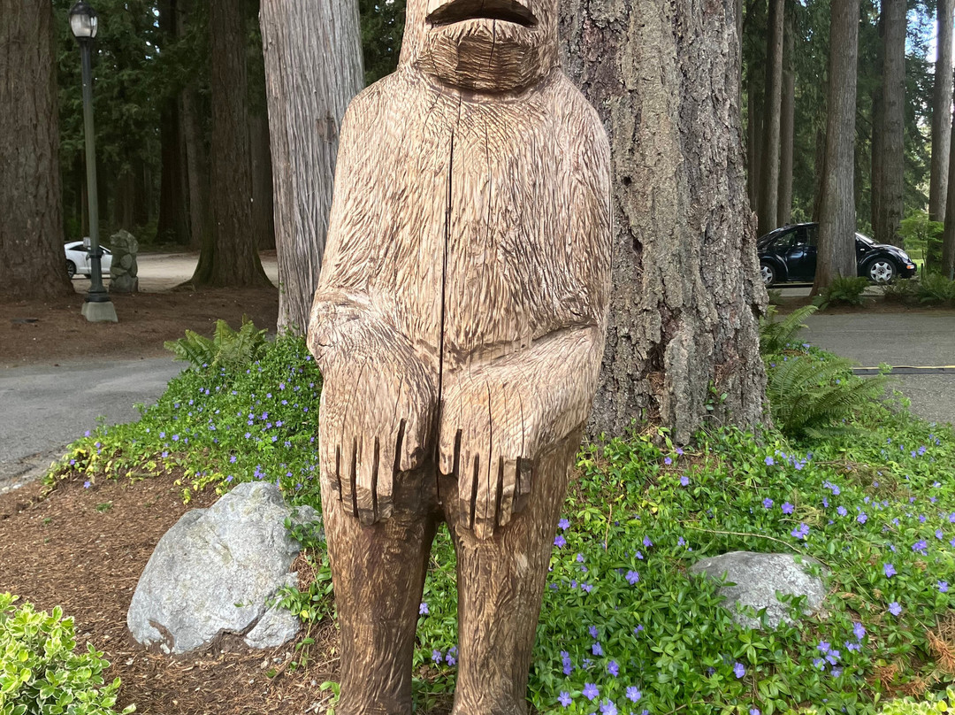 河上罗威那酒店主图