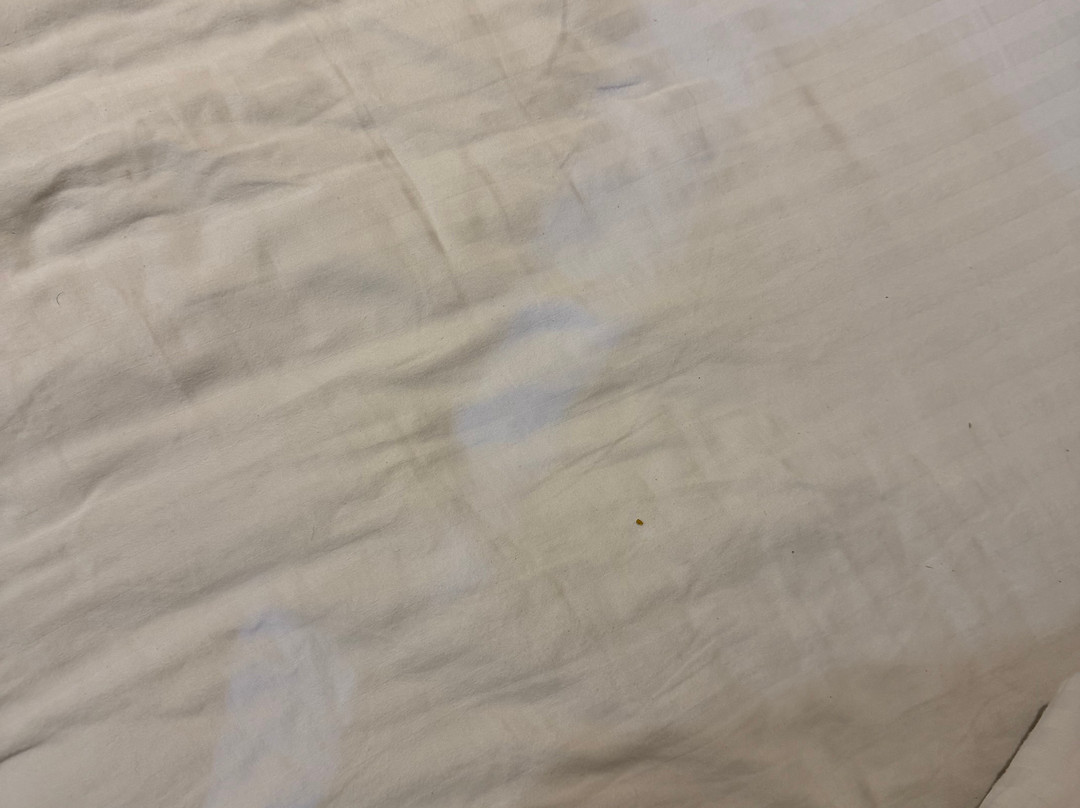 焦特布尔洛兹旅馆主图