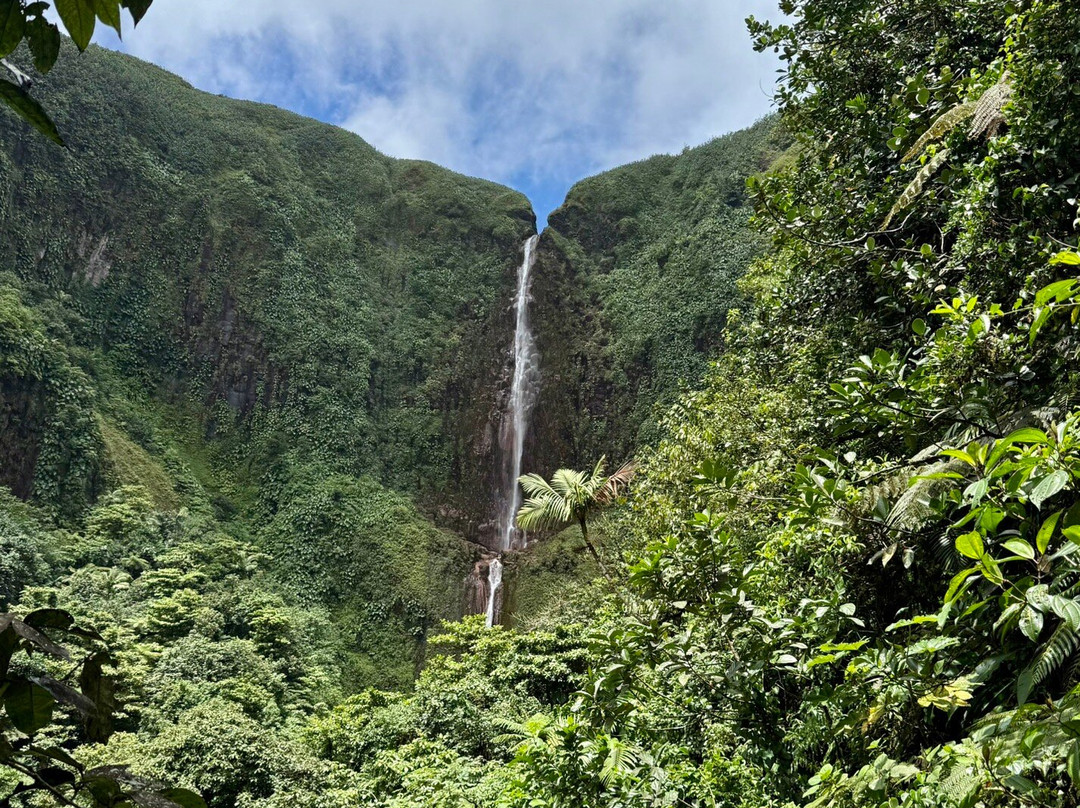 Carbet Falls (Les Chutes du Carbet)-Parc National必去景点