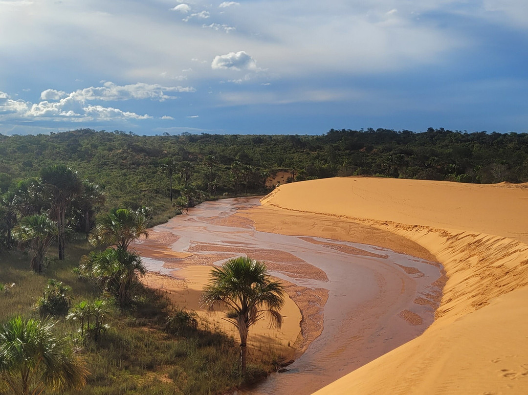 Jalapão Gaviões do Cerrado-Ponte Alta do Tocantins必去景点