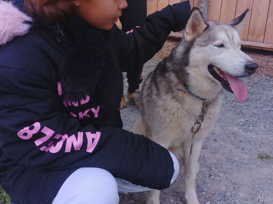 Sled Dog Ride-Saint-Symphorien必去景点