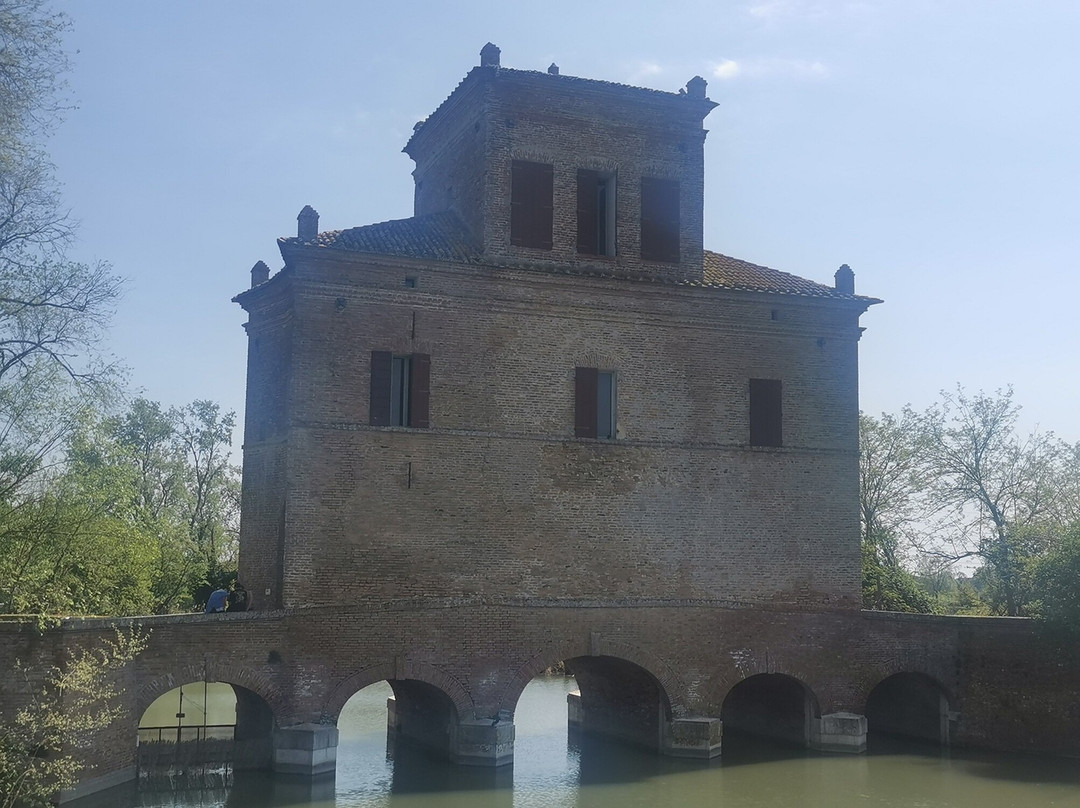 Oasi Naturale di Torre Abate-Mesola必去景点
