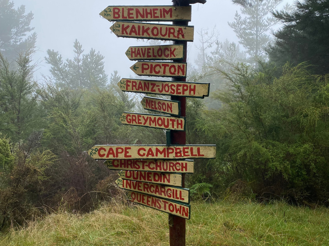 Wilderness Guides - Day Tours-皮克顿必去景点