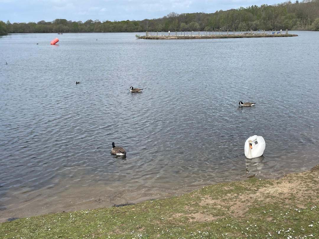 Horseshoe Lake Activity Centre-桑德赫斯特必去景点