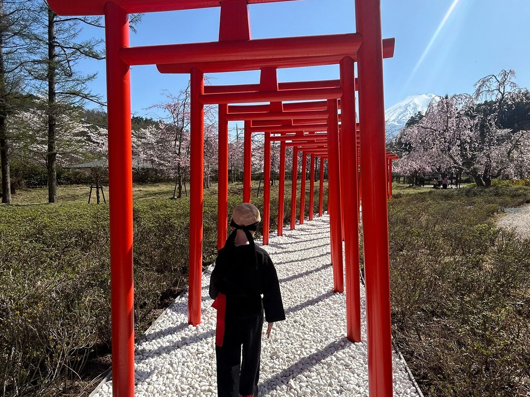 Oshino Shinobi no Sato-忍野村必去景点