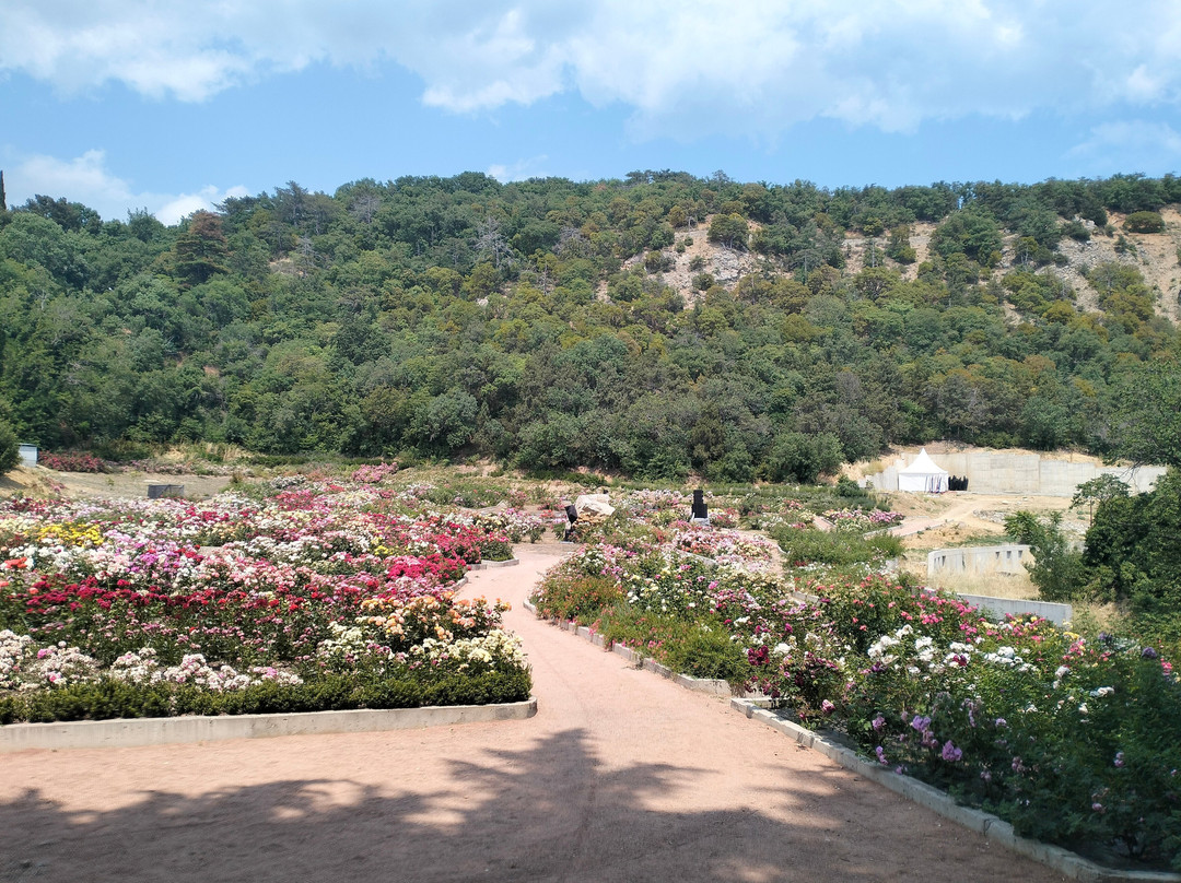 Nikita Botanical Gardens-Nikita必去景点
