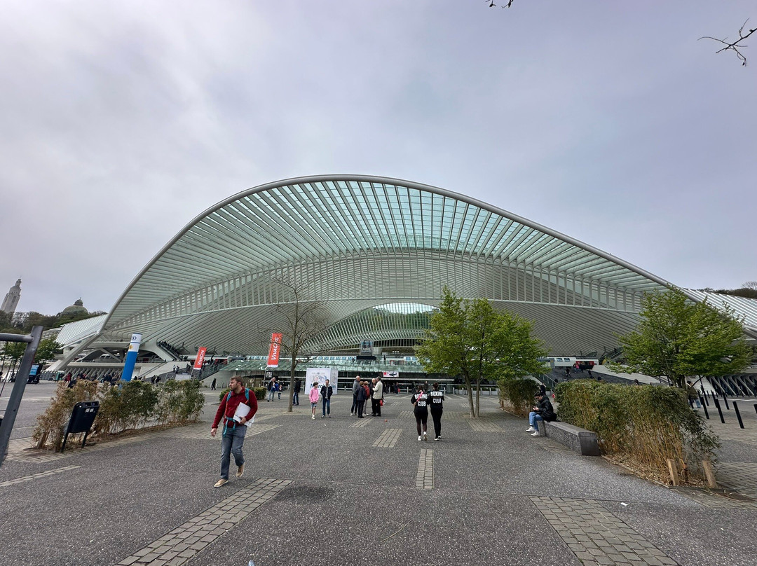 Gare de Liege-Guillemins-列日必去景点