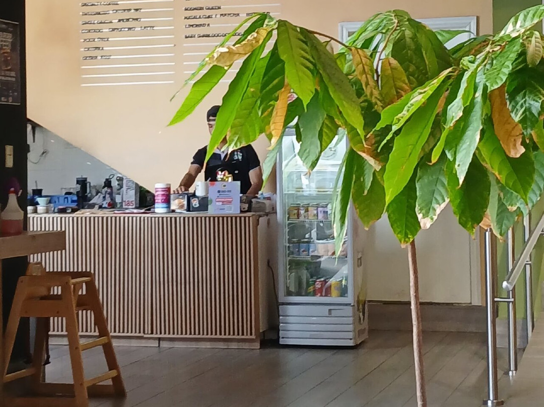 TNT Roasters