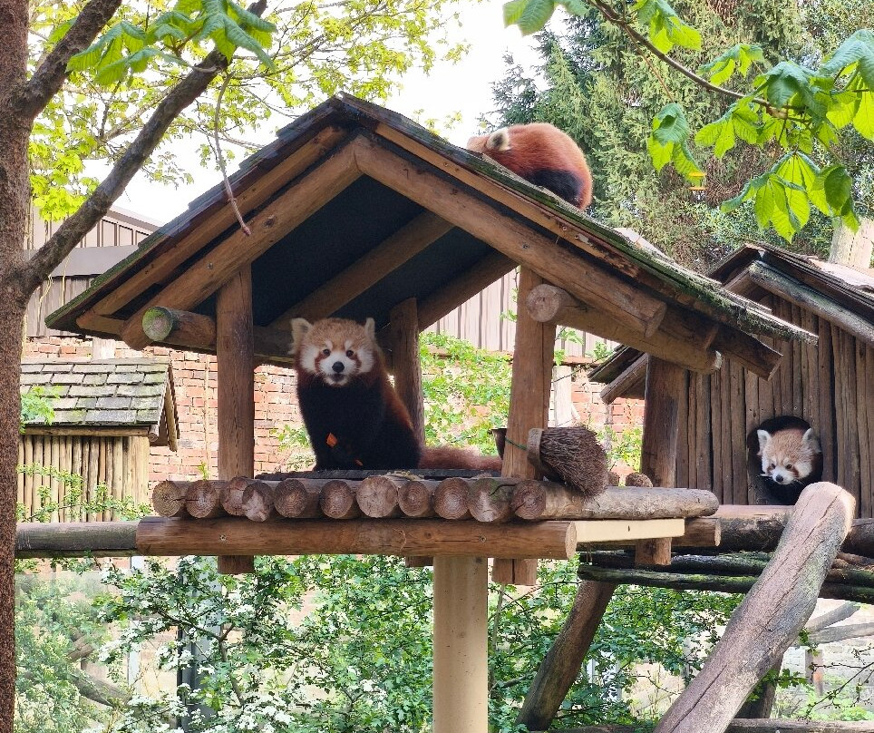 Safari Lodges At West Midlands Safari Park主图