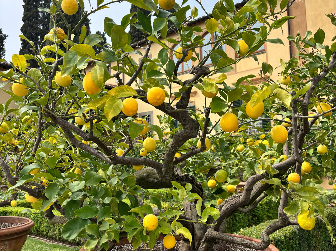 Poggio Torselli-佩萨河谷圣卡夏诺必去景点