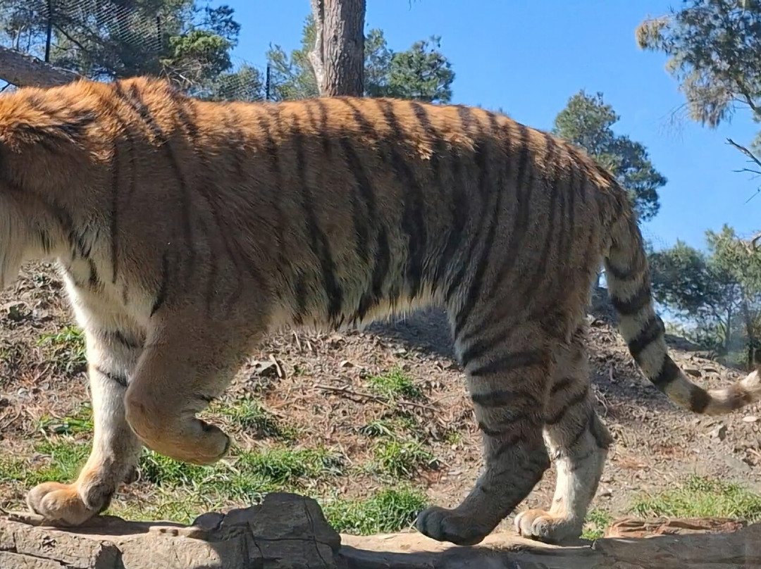 EcoZonia - Parc Animalier-Cases de Pene必去景点
