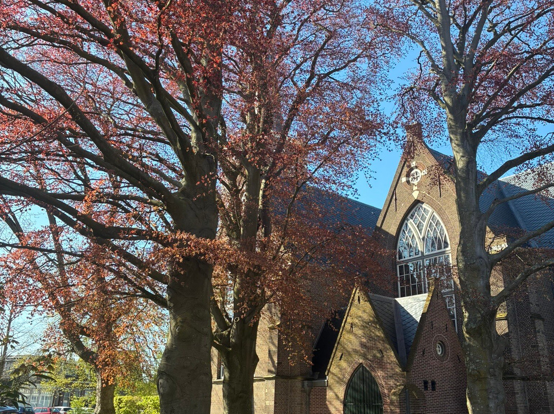 Hervormde Kerk Aalsmeer (16e Eeuw)-Aalsmeer必去景点
