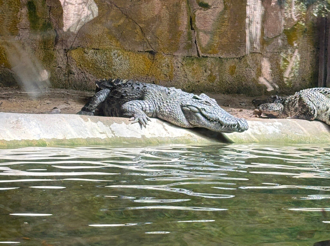 Terra Natura Benidorm-贝尼多姆必去景点