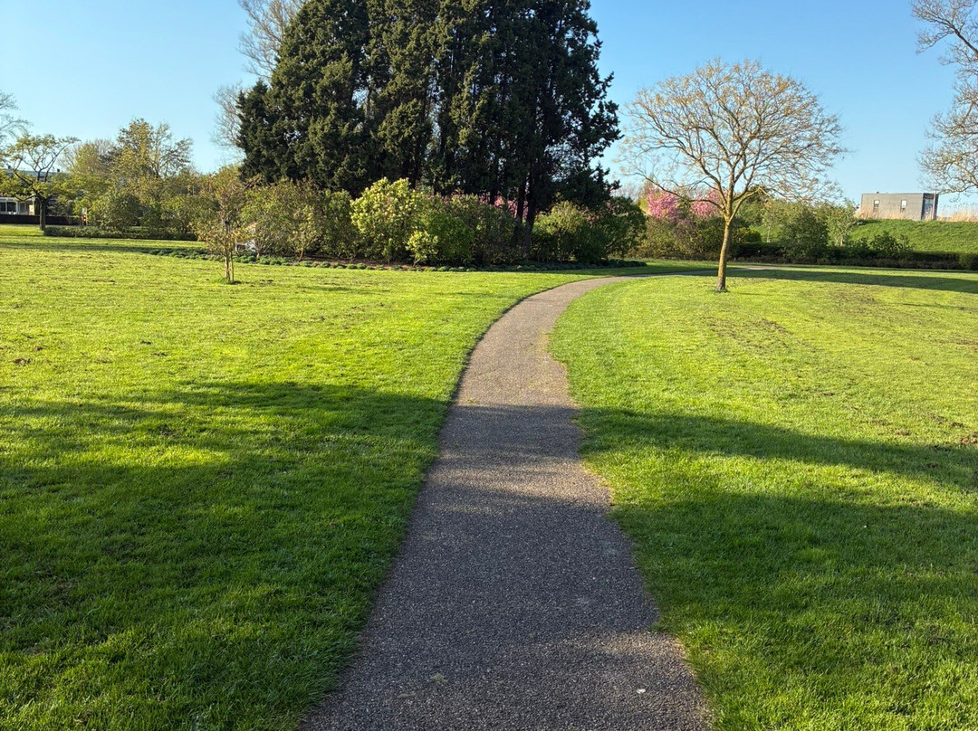 Het Seringenpark van Aalsmeer uit 1951-Aalsmeer必去景点