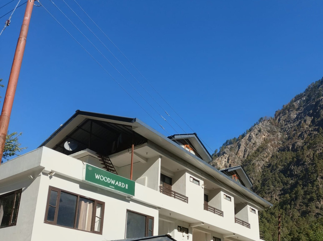 Woodward II By 4 Wildflower