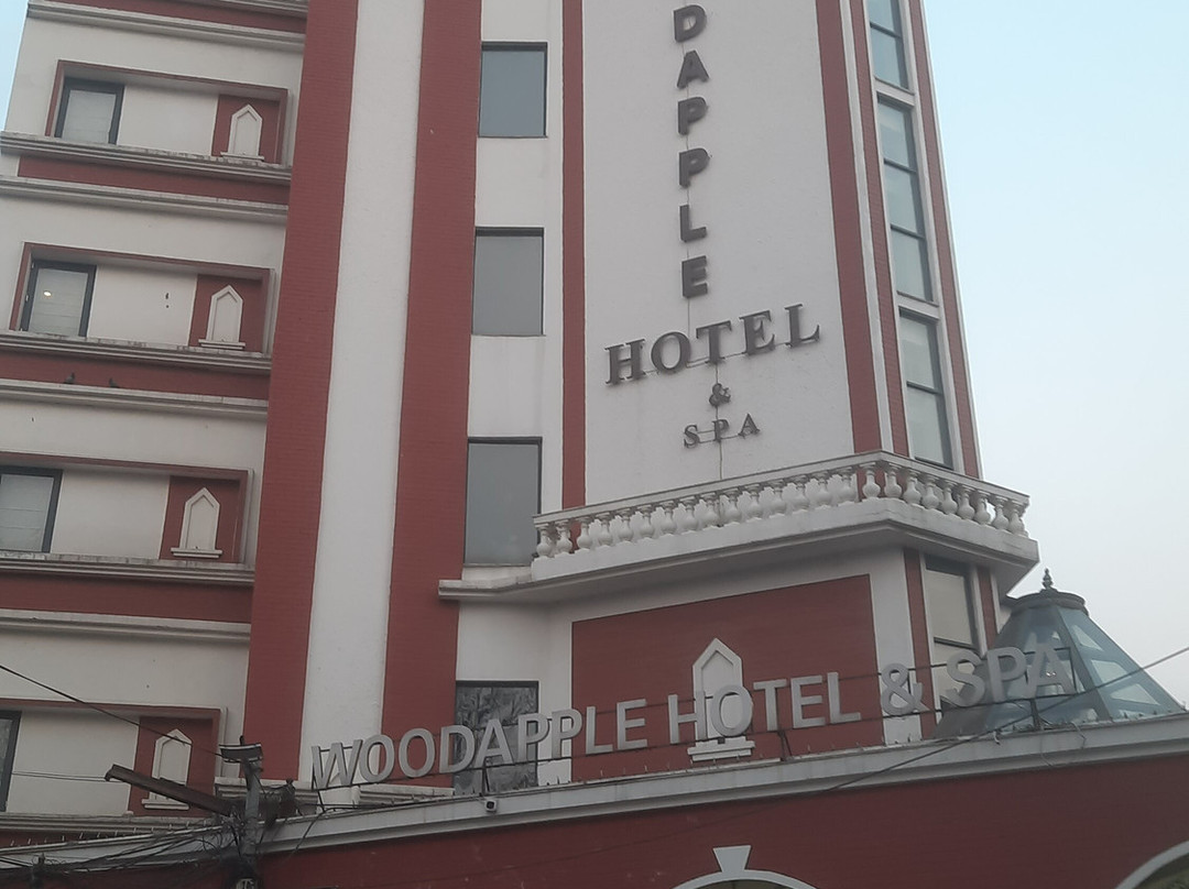 木苹果Spa酒店主图