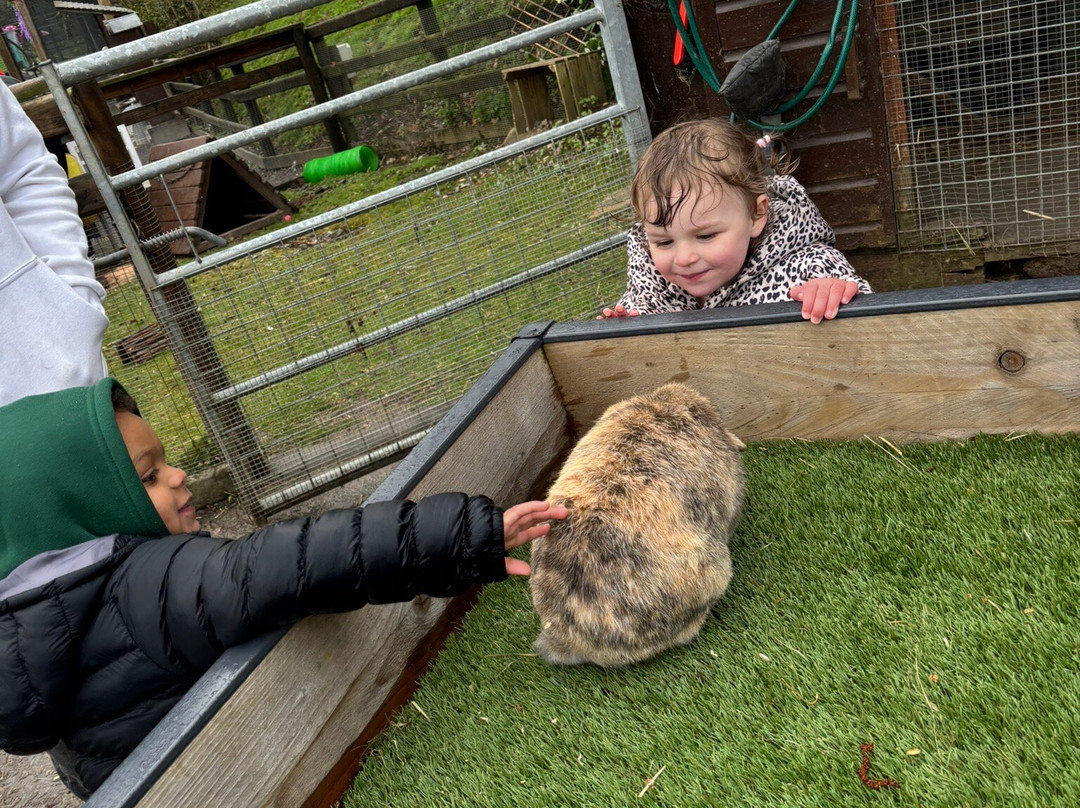 Gypsy Wood Park-卡那封必去景点