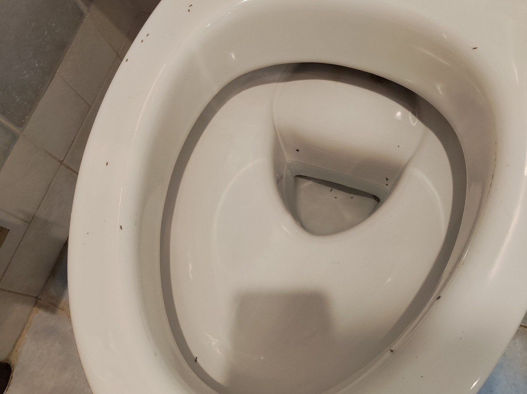 蒙特斯皮娜公园酒店主图