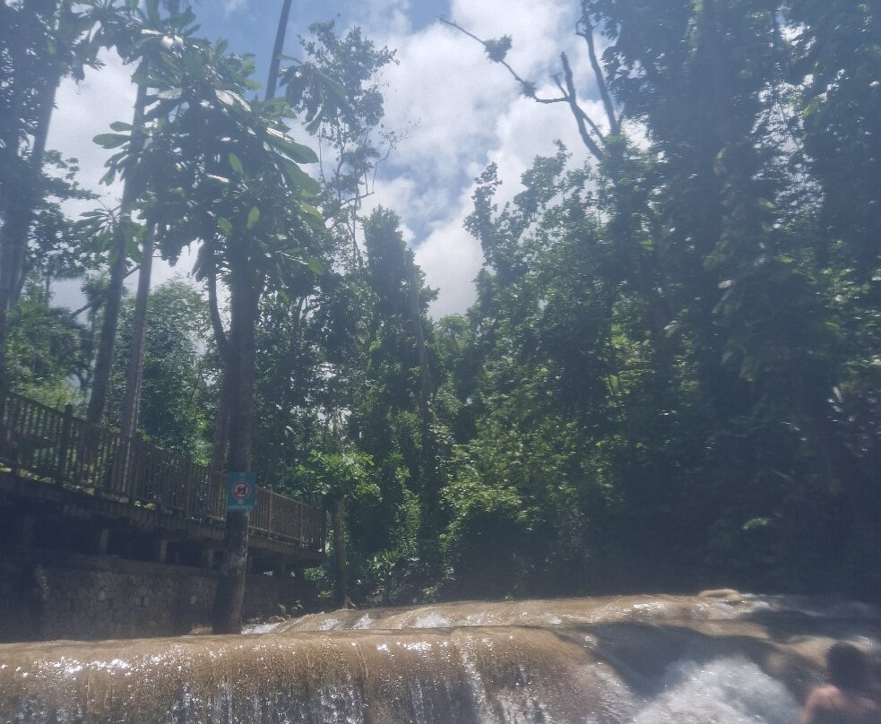 Dunn's River Falls and Park-奥乔里奥斯必去景点
