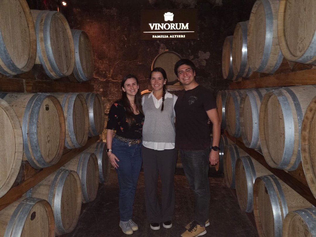 Altieri Wines - Vinorum-路冉得库约必去景点