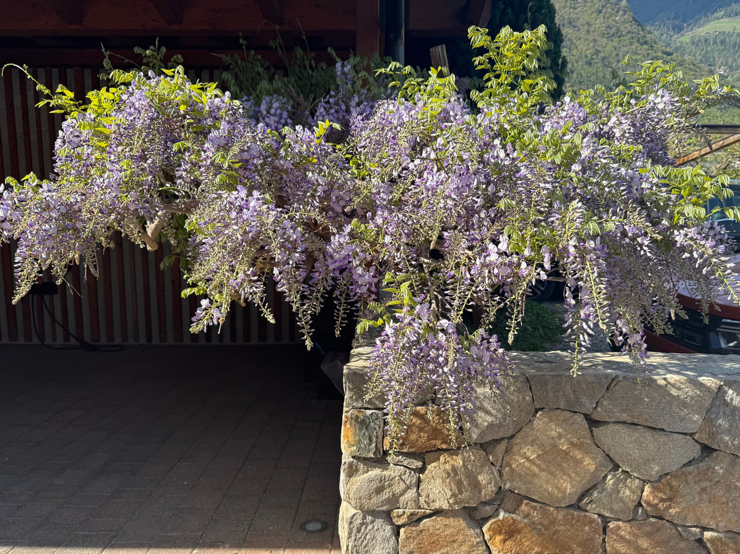 加尼维格赫布住宿加早餐旅馆主图