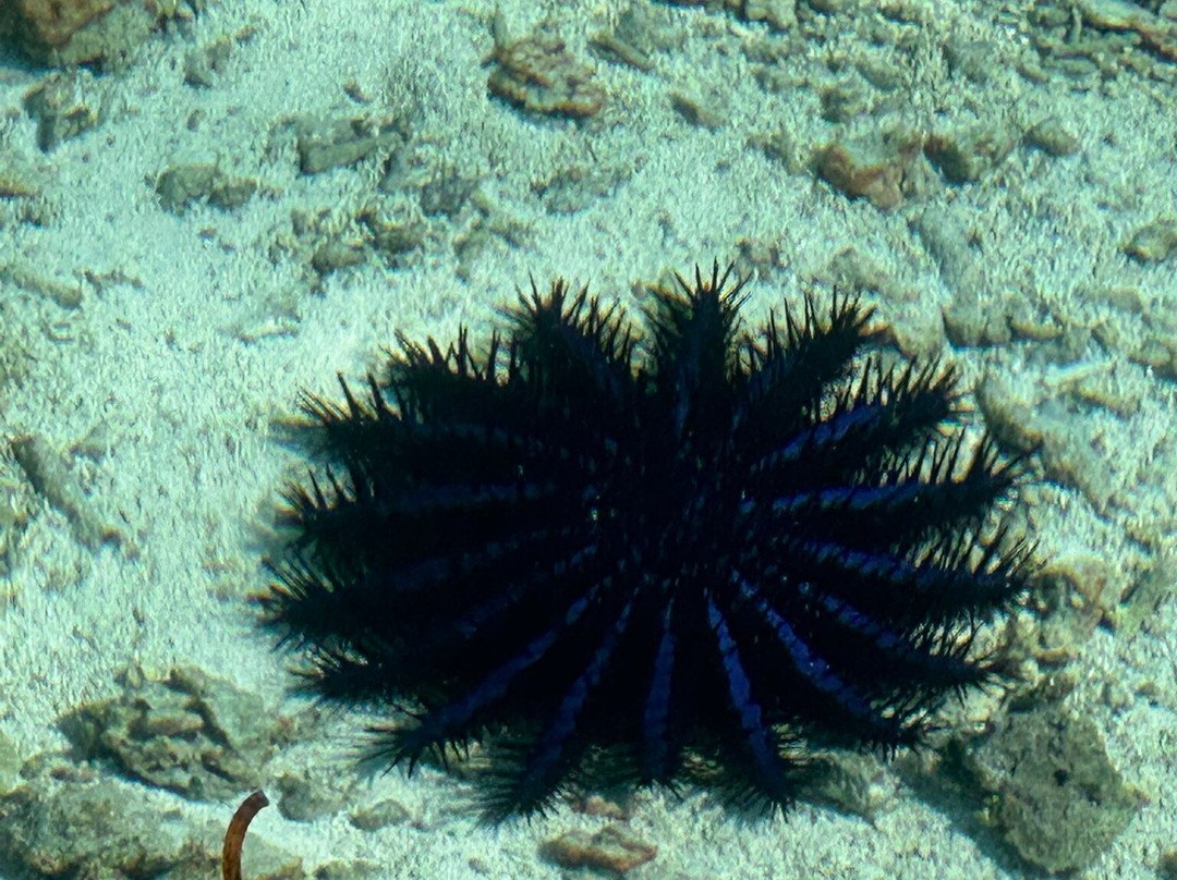 马尔代夫贾瓦卡拉群岛酒店主图