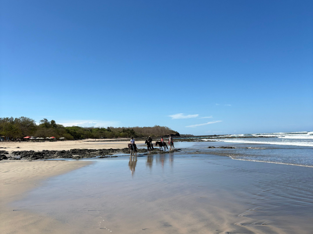Guti Tours-Playa Avellanas必去景点