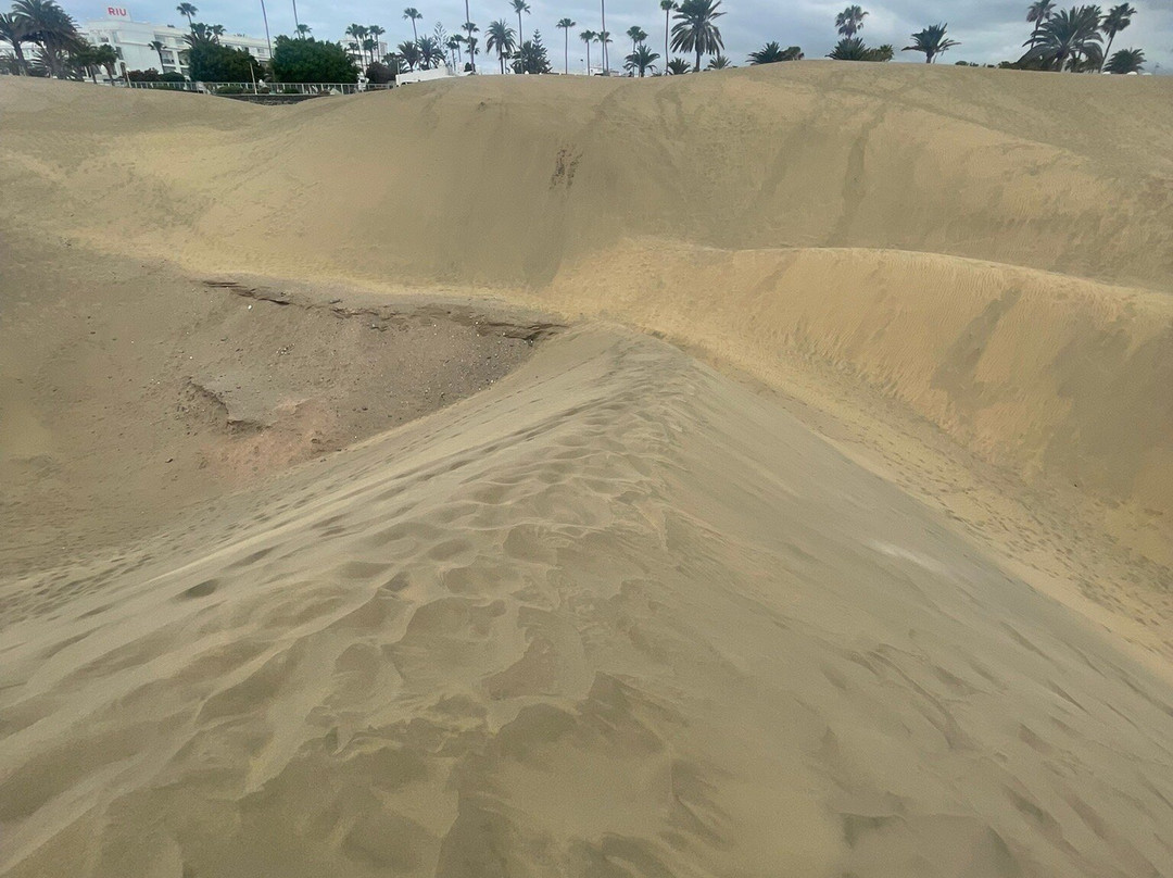 Reserva Natural Especial de Las Dunas de Maspalomas-马斯帕洛马斯必去景点