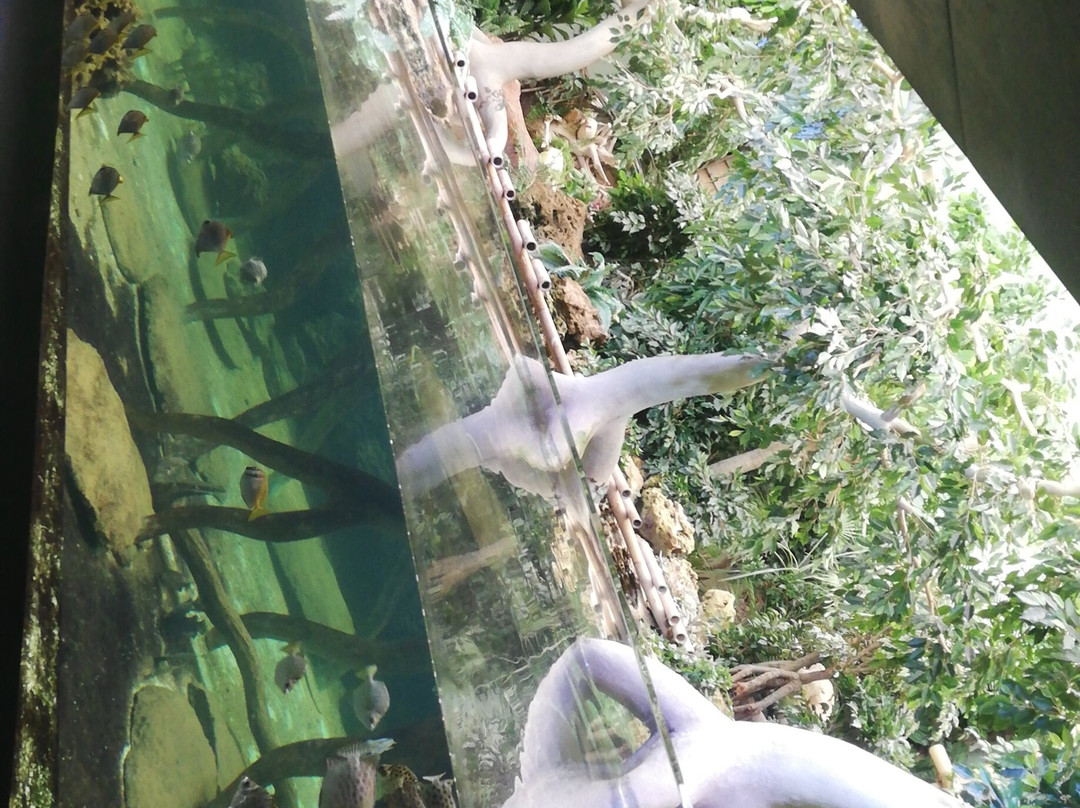 Aquarium de Vendée-Talmont Saint Hilaire必去景点