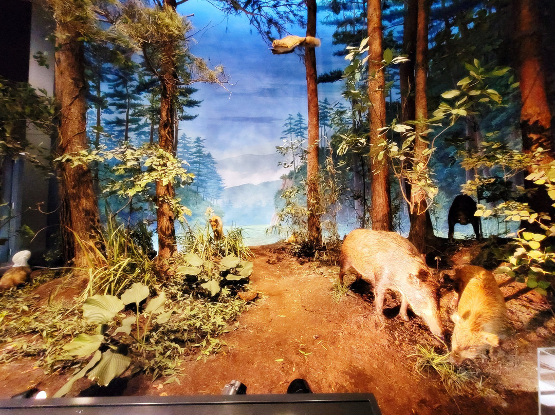 Saitama Museum of Natural History-长瀞町必去景点