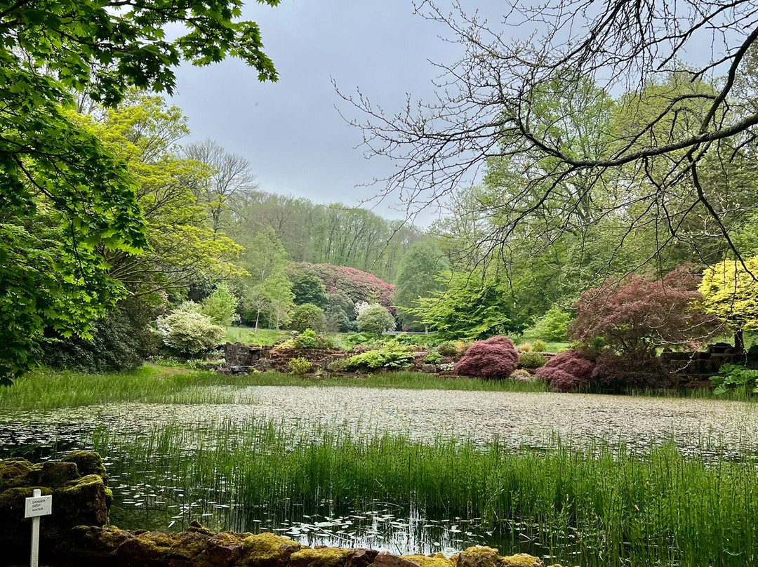 Lydney Park Estate-Lydney必去景点