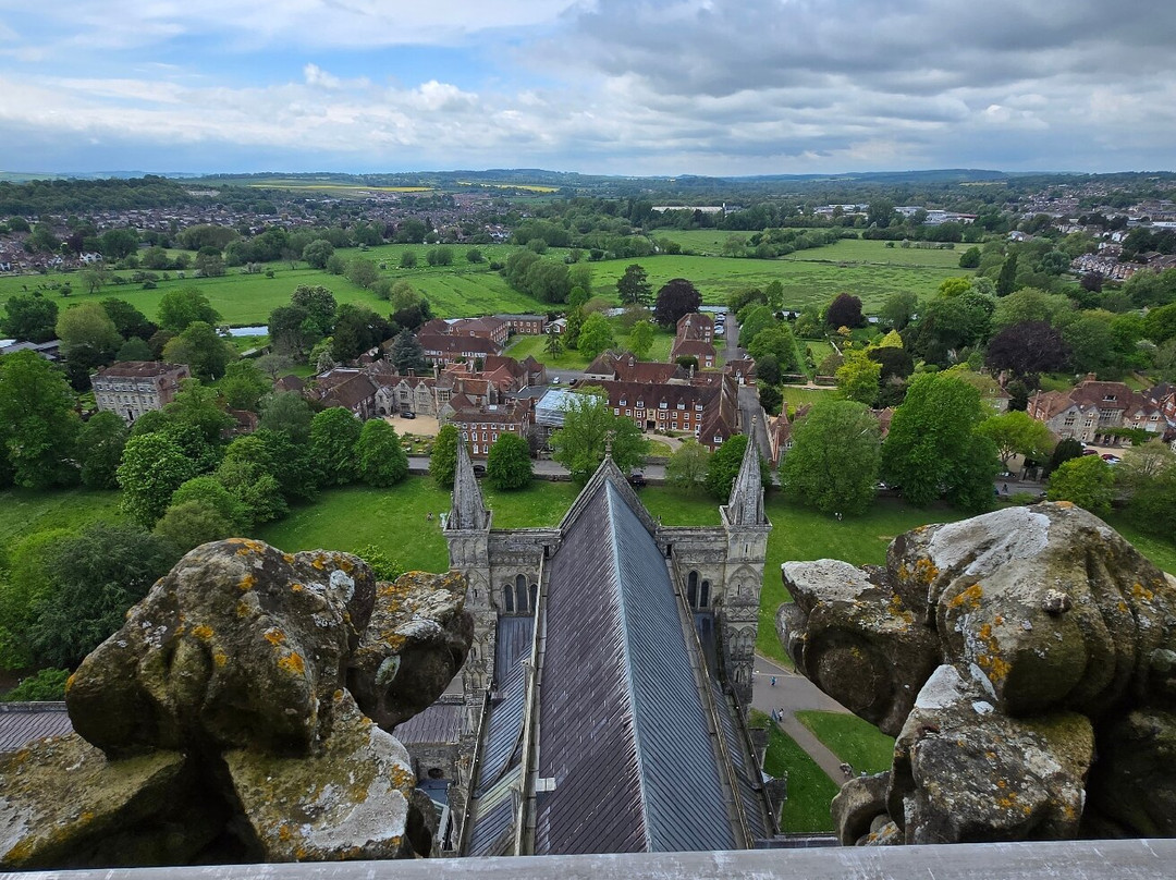 Salisbury Cathedral and Magna Carta-索尔兹伯里必去景点