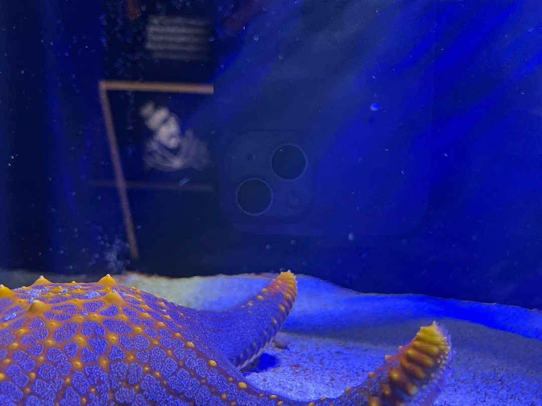 AquaRio-里约热内卢必去景点
