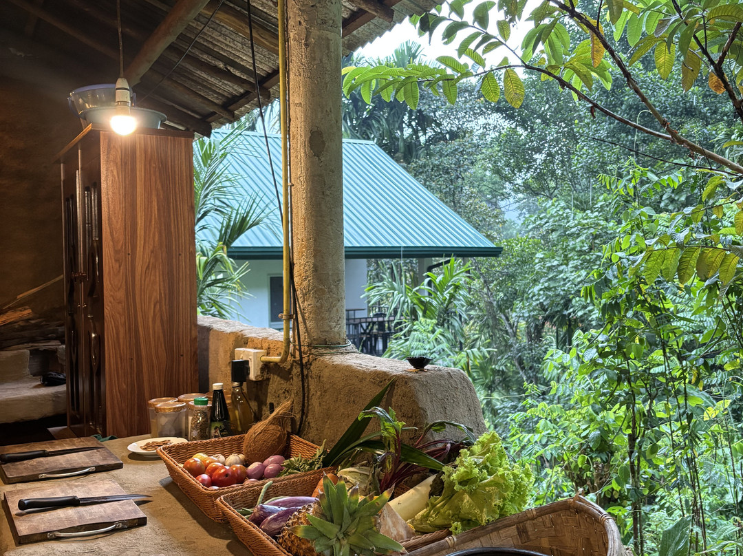 Ella Green Grow Cooking Class-埃勒必去景点