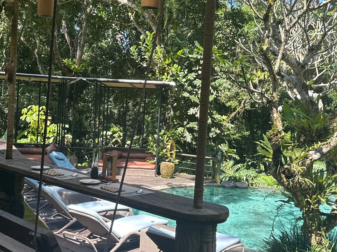 Jack Fruit Restaurant