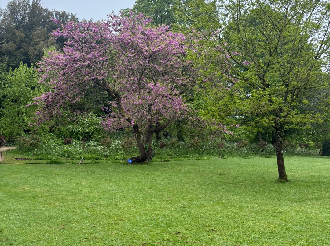 Dyrham Park-Dyrham必去景点